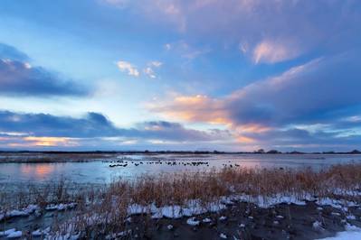 ©sumikos / Adobe Stock