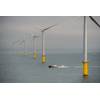 (Photo: Rampion Offshore Wind)