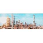 © Adobe Stock/Armando Oliveira