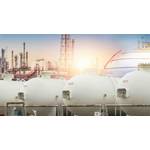 © Adobe Stock/Artinun