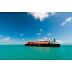 © Adobe Stock/donvictori0