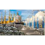 © Adobe Stock/Grispb