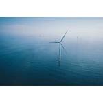 © Adobe Stock/NBLX