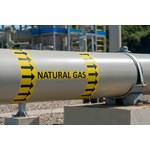 © Adobe Stock/SDF_QWE