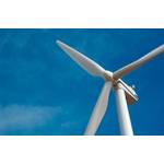 A record 117 gigawatts of wind power capacity was installed worldwide last year, slightly more than in 2023, but far less than needed to achieve goals to decarbonise energy. Credit: Adobe Stock/Byron Moore