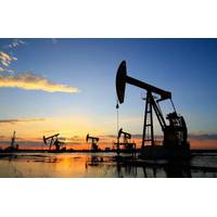 © Adobe Stock/杜 海珍