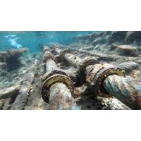 © Adobe Stock/Alifa Gallery