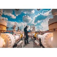 © Adobe Stock/chitsanupong