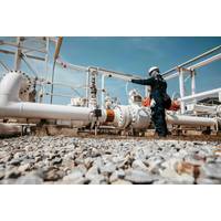 © Adobe Stock/chitsanupong