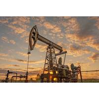 © Adobe Stock/Ded Pixto