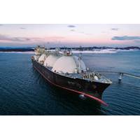 © Adobe Stock/Evgenii Bakhchev