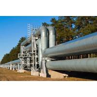 Adobe Stock/fotofotofoto