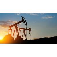 © Adobe Stock/hamara