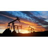 © Adobe Stock/hamara