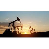 © Adobe Stock/hamara