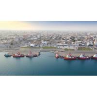 © Adobe Stock/leo morgen