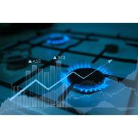 © Adobe Stock/Leonid