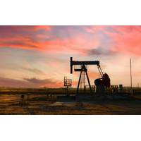 © Adobe Stock/MaxSafaniuk