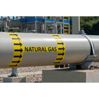 © Adobe Stock/SDF_QWE