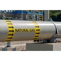 © Adobe Stock/SDF_QWE