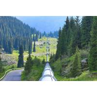 © Adobe Stock/serikbaib