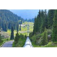 © Adobe Stock/serikbaib