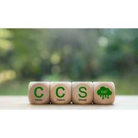 © Adobe Stock/Thipok