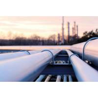 © Adobe Stock/tomas