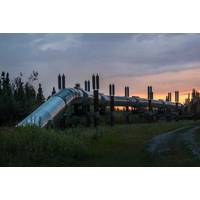 © Adobe Stock/Victoria Ditkovsky