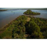 Aerial view of Louisiana shoreline (Photo: NOAA)