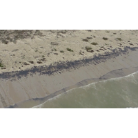 Beach, Matagorda Bay: USCG Photo