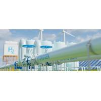 Credit: Adobe Stock/ Yingyaipumi