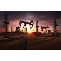 Credit: Adobe Stock/ Corona Borealis