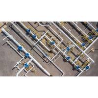 Credit: Adobe Stock/Kalyakan