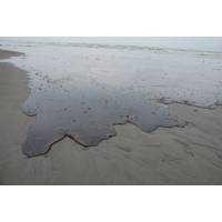 Oil from Deepwater Horizon spill washes ashore Louisiana’s coast in June 2010. (Photo courtesy of Governor Jindal’s office)