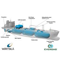 Evergas scope