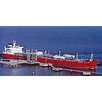 EXMAR gas carrier: Image courtesy of the owners