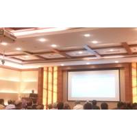 Focusing on Super Eco System