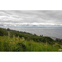 © htrnr / Adobe Stock