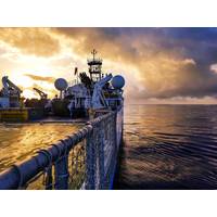 File Image: Adobestock / © DonvictoriO