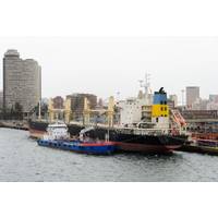 File Image (CREDIT: AdobeStock / © Seafarer81)