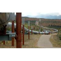 File Image: The Trans Alaska Pipeline. (CREDIT: AdobeStock / (c) Roger Asbury)