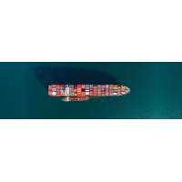 Pic: International Maritime Organization (IMO)