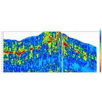 Jason 9.5’s Anisotropic Inversion product offers more options to improve anisotropy property estimates calibrated to well control for effective well design and optimum production. This figure shows anisotropy magnitude of Vp/Vs from wide-azimuth seismic data on a section through the Marcellus shale play. (Image: CGG GeoSoftware)