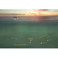 Kaikias subsea infrastructure (Image: Shell)