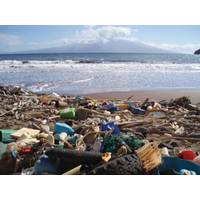 Marine debris in Hawaii has caused the beach to look like a landfill (Photo: NOAA)