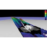  Meshed laser based micro-bathymetry data with a single still picture of a buoyancy collar overlaid onto the data.