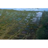 Permafrost forms a grid-like pattern in the National Petroleum Reserve-Alaska, a 22.8 million acre region managed by the Bureau of Land Management on Alaska's North Slope. USGS has periodically assessed oil and gas resource potential there. (Credit: David Houseknecht, USGS.)