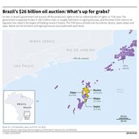 Reuters graphic of Brazil Oil blocks