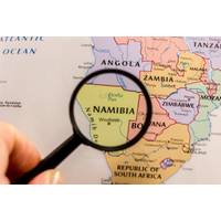 sharafmaksumov - stock.adobe.com